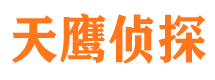 东方侦探公司